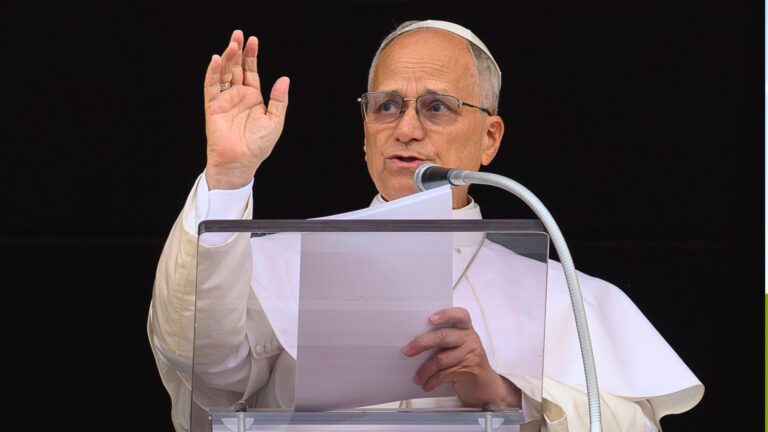 Papa aos benfeitores do Óbolo de São Pedro: “agradeço de coração”
