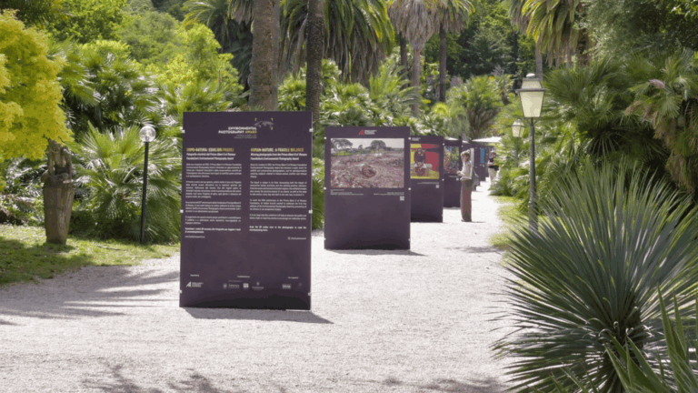 Borgo Laudato si’ recebe exposição fotográfica até o fim de julho