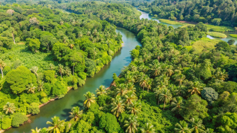 25 anos de encontros a "serviço da Amazônia"