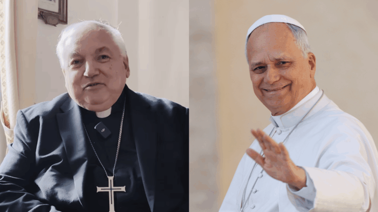 Igreja irá “regar as sementes” da visita do Papa à França